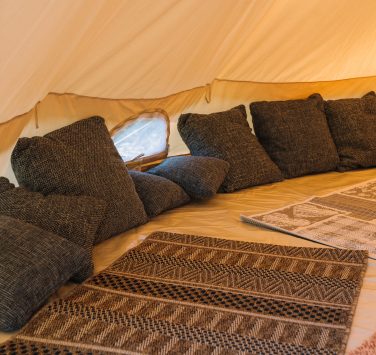 Pine Forest Glamping Tent T – 11