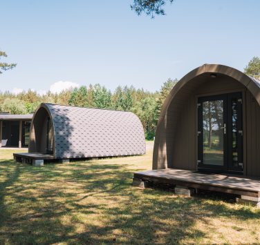 Pine Forest Cabin P-8